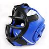 Combat Sports Protective Headgear