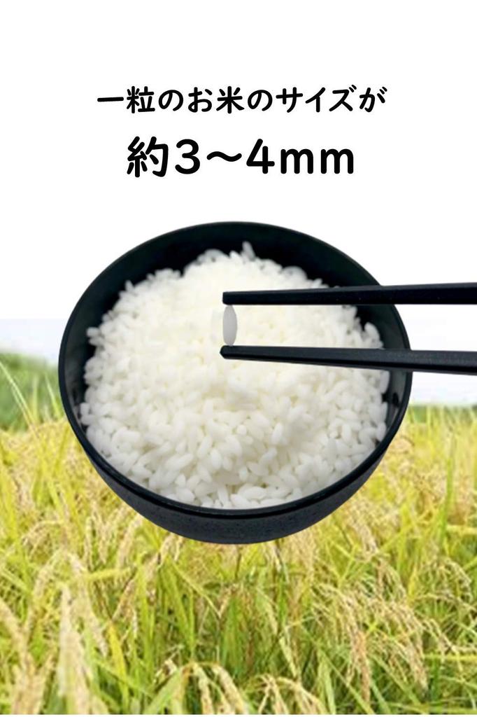 Food Sample Japanese Pure from Yamato Damashii Food Sample Shop Materials Rice, White, 200g,