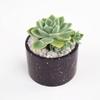 Succulent Flower Pot Concrete Cement UV Resin Home Decor Casting Mould Silicone Mold Clay Molds