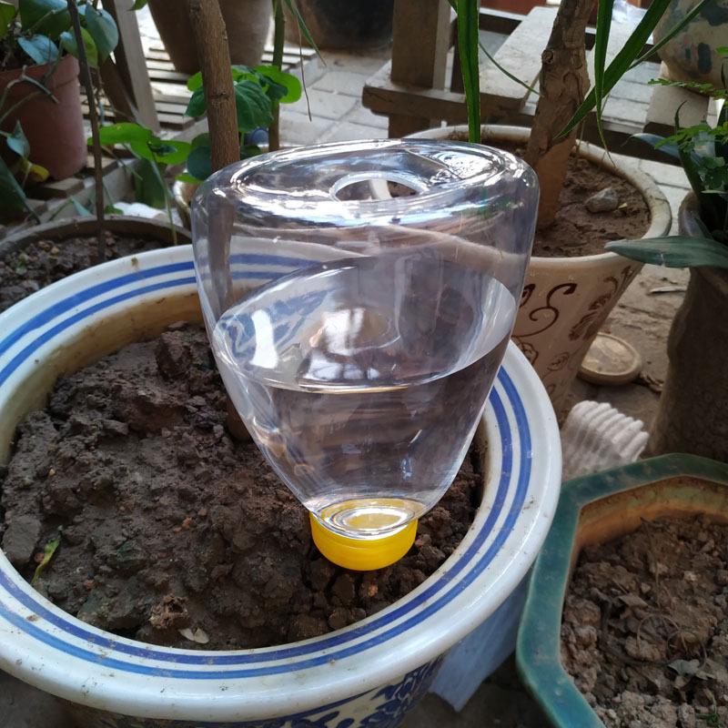 Automatic Self-Watering Ceramic Device for Succulents – Small Drip Irrigation System