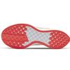 Nike Zoom Pegasus Turbo 2 Platinum Tint Women's AT8242-008