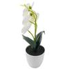 Orchidee w doniczkach Sztuczna orchidea Pomarańczowo-czerwona Różowa Plus Biała Róża Biała Biała Plus Róża Ogród Biuro Restauracja Walentynki