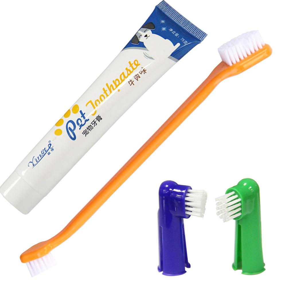 dogsmart toothbrush
