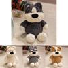 Hachiko Plush Toy With Clothing For Kids And Collectors Gift Idea