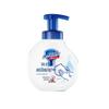Safeguard Antibacterial Foaming Hand Wash