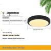 Becuri LED – Lămpi de perete LED