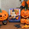 Halloween Bear In Box For Trick Or Treating With Witch Blanket Cloak Pumpkin And Cat