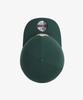 New Era Nhl Toronto Maple Leafs Basic Snapback Dark Green 15131638