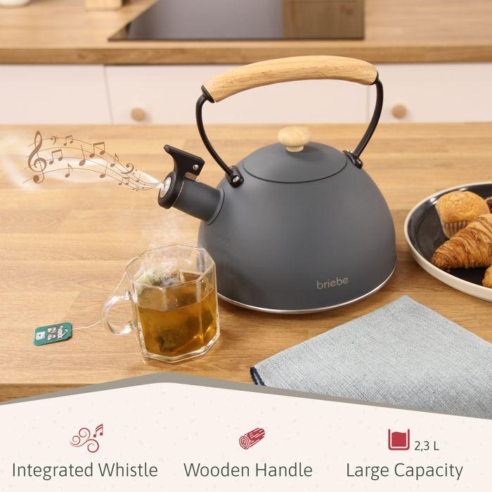 Nordic Ensemble Grille Pain 2 Fentes Larges, Bouilloire Sifflante Induction 2,3L Briebe SKT1177GRY 870W Gris