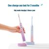 FLYCO FT7105 Smart Sonic Electric Toothbrush