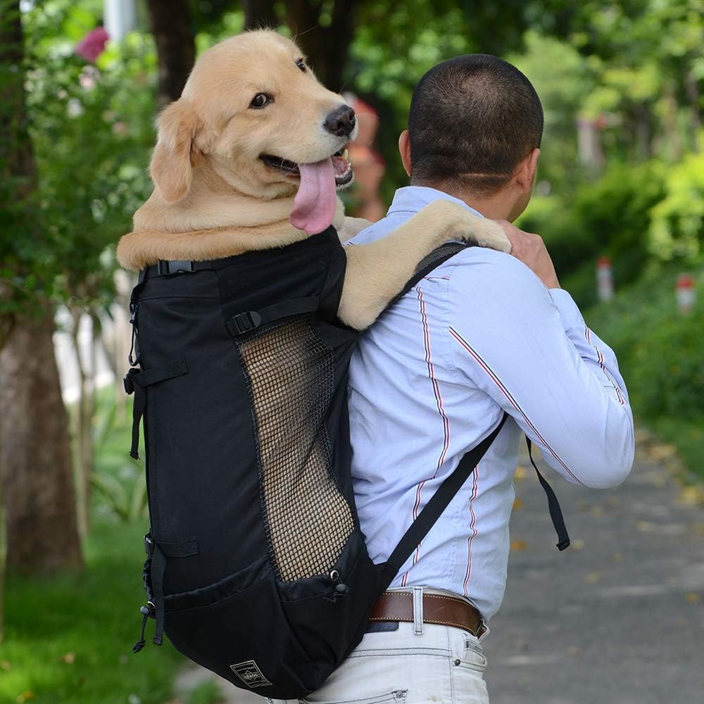 Sturdy And Portable Outdoor Dog Carrier Bags For Convenient Travel Breathable Dog Carrier Backpack