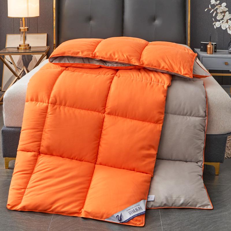 Downproof Velvet-Quilt: All-Season Comfort for Homestay and Students