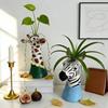 Vaso a Testa di Animale Carino Moderno Faccia di Giraffa Zebra Vaso da Fiori per Ingresso Casa Soggiorno Decorazione da Tavolo