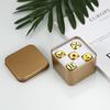 5 Stück/Set Metallwürfel-Set mit Metall-Aufbewahrungskoffer Gold/Silber 6-seitige Spielwürfel für Brettspiel 13 mm