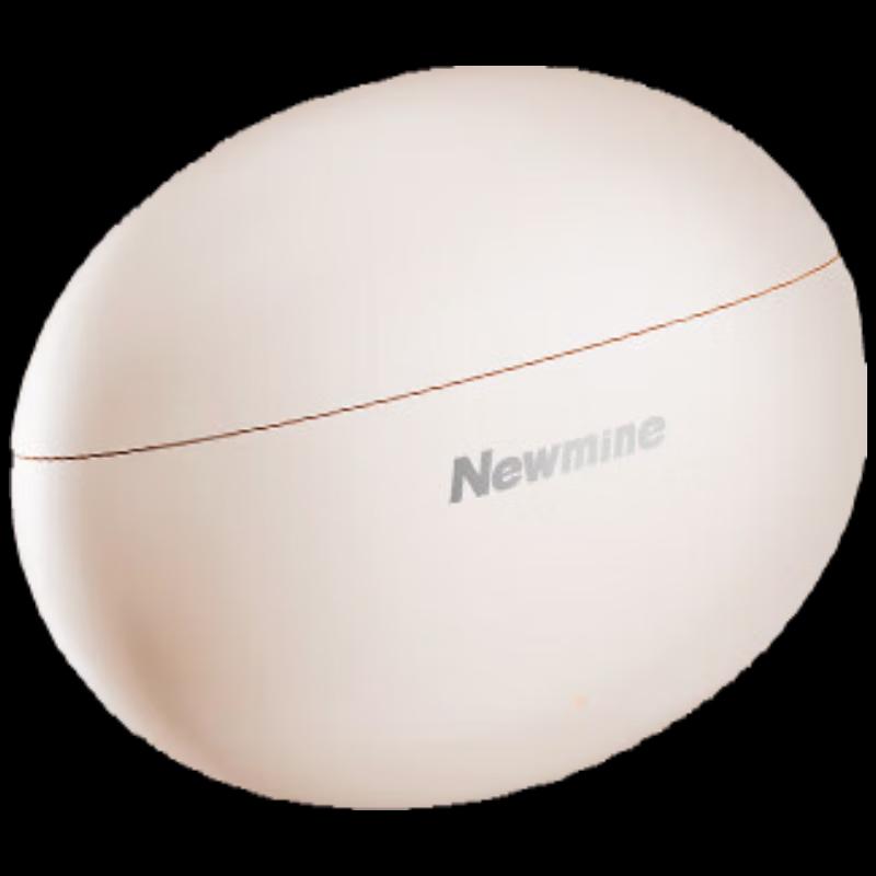 Newmine T13 Wireless Bluetooth Earbuds