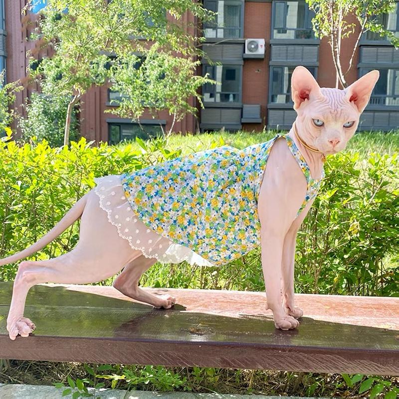 Sommer Sphynx Katze Hund Kleidung Luxus Prinzessin Kleidung Für Haarlosen Katzen Kostüm Kätzchen Weste Kostüm Welpen Rock Niedlich