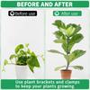 Green Bendable Plant Stake For Garden Flowers Vegetables Regulable Support Rod High Strength Plastic Easy Installation