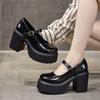 Vintage Mary Jane women's shoes high heels 2025 autumn new thick heels platform waterproof table British small leather shoes women's single shoes