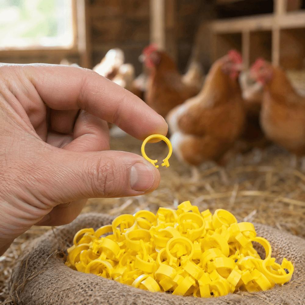 100Pcs Plastic Chicken Ankle Rings Yellow Poultry Feet Rings Geese Leg Rings For Breeding Ducks