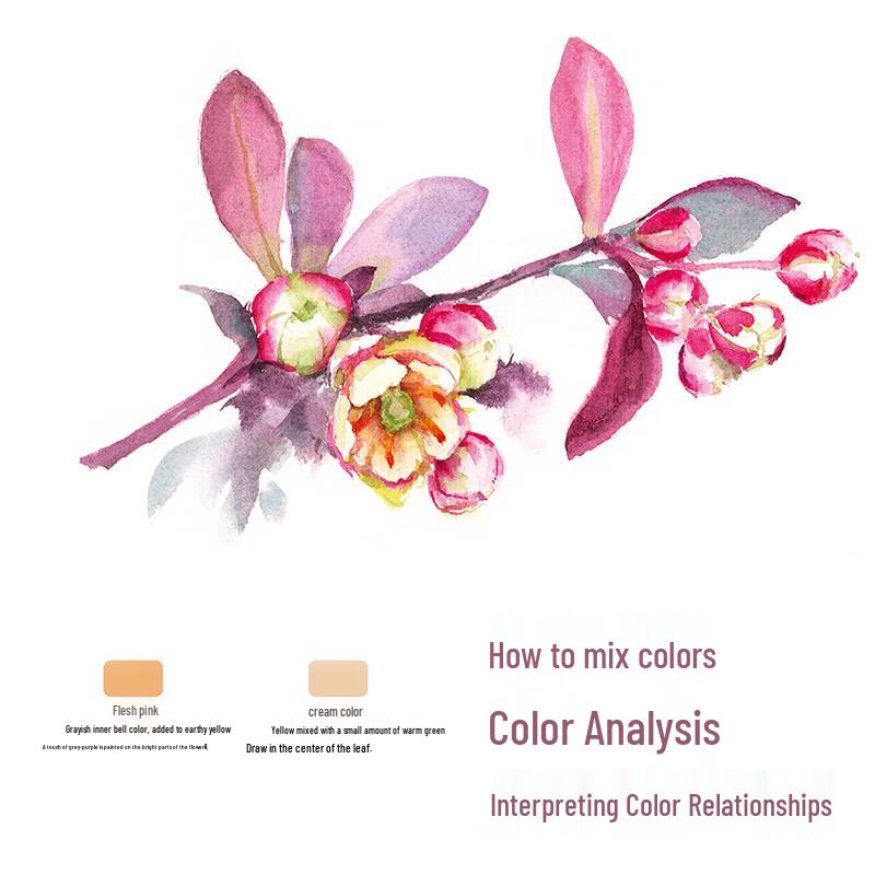 Classic Complete Works: Watercolor Flowers Tutorial Book for Beginners