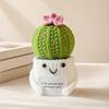 Crochet Cactus Potted Plants, Handmade Knitted Cactus for Home Office Car Decoration, Decorative Plants for Lasting Beauty, Gift for Women Family