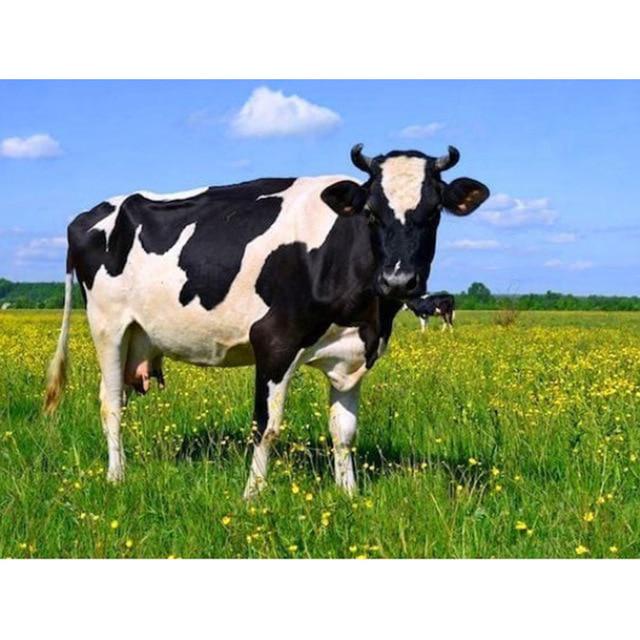 

DIY 5D Алмазная картина Корова Ферма Животное Алмазная вышивка Крестиком Полный круглый мозаичный рисунок 20X30CM коричневый