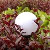 Duże Lampy Ogrodowe 6X Lampki Solarne Led Kula 10Cm Wbijane Zestaw 6 Sztuk
