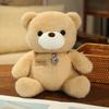Rose Sitting Teddy Bear Plush Toy Cartoon Stuffed Animal Doll Decoration Gift