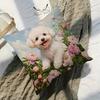 Cute White Poodle Pillow Cover Oil Painting Print Cushion Case Pet Lover Peony Flower Home Decor Gift