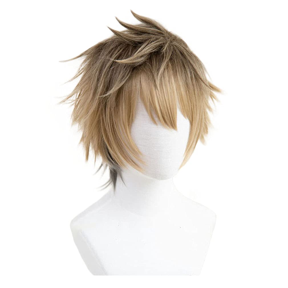 LAOBAO Cosplay Wig, Heat Resistant, Brown, Costume Accessory, Party, Fancy Dress, Halloween, Festival, Event, Cosplay Wig