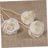 BESPORTBLE 8pcs Rattan Sola Flower Essential Oil Vines White Outfit Wood Appliques Floral Diffuser Wick Spa Perfume Beautiful Diffuser Flowers Wooden
