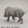 Kaiyodo ART PLA Zookeeper and White Rhino Set, Unpainted and Unassembled Plastic Model Kit AP006