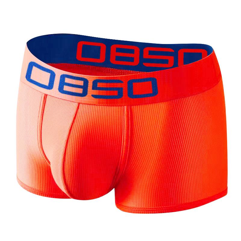 Men's Sexy Mesh Butt-Lifting Low-Rise High-Cut Briefs (BS834)