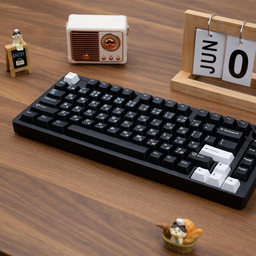 XVX "Minimalist Black" Keyboard Keycaps: Japanese, Korean, and Russian Engraved Opaque Black/White PBT.