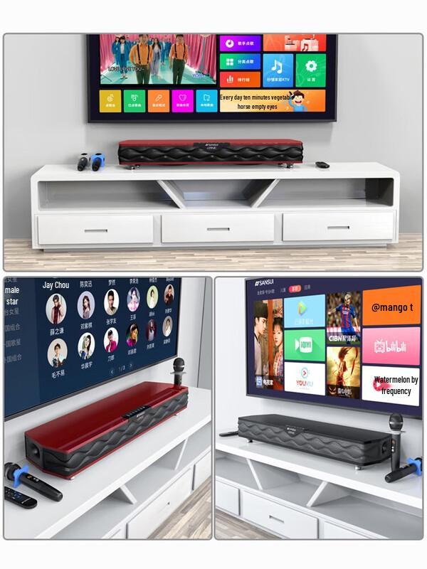 Shanshui P200 Home KTV Audio System