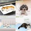 Washable Pet Sheets for Dogs and Cool Quick Floor Pee Mat Underlay Chewing Gel Large Pet Machine Suitable for All 1 Piece Cats, Mat, Dry, Reusable,