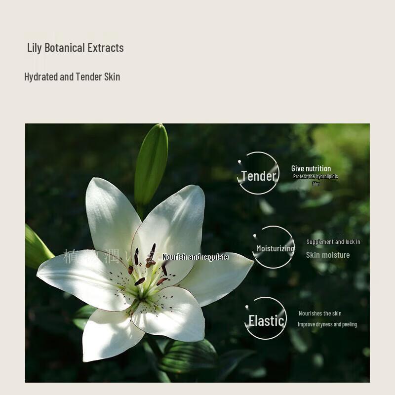 Qianxiang Japanese Lily Amino Acid Shower Gel