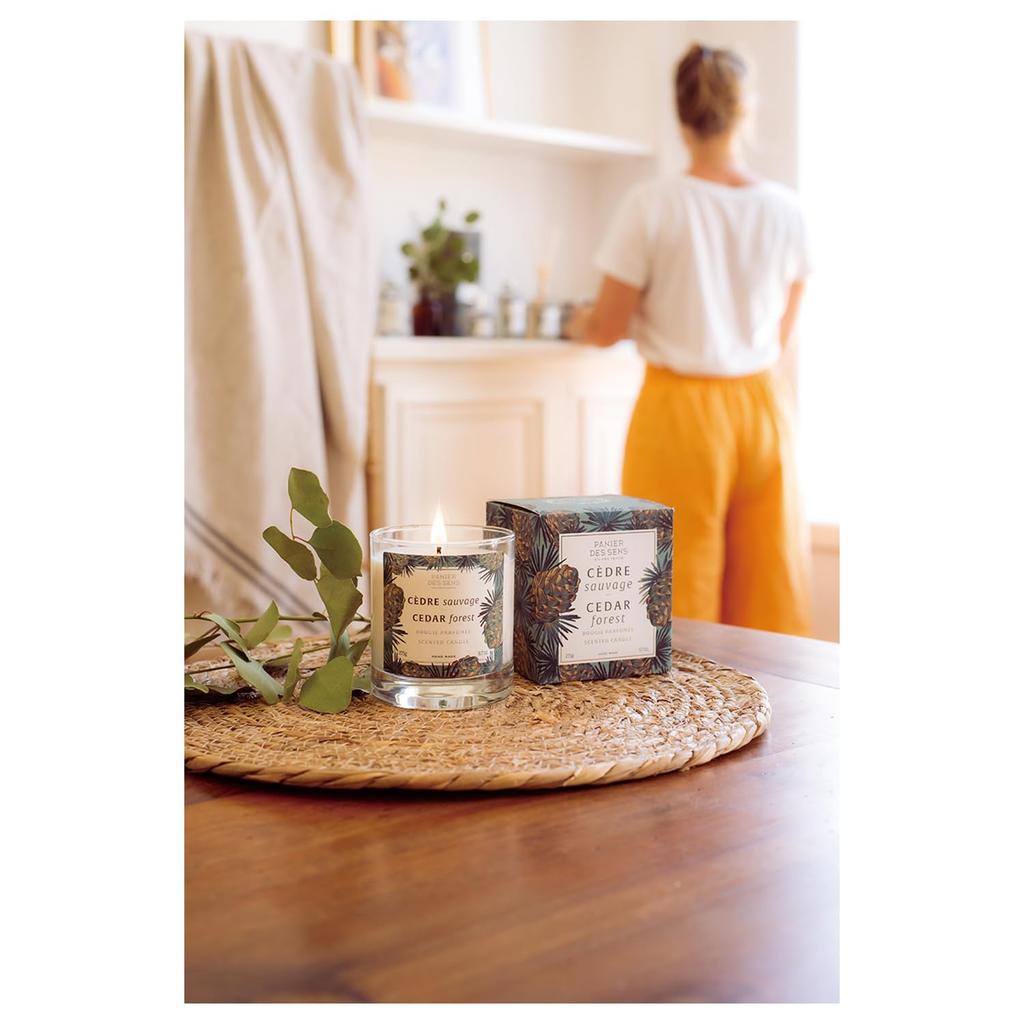 Panierdessens Home Scented Candle Fig Tree 275g (Mother's Day, White Day, High-Quality Gift, New Life, Boss, Mom Friend, Graduation, France, Overseas,