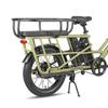 Fafrees FF20 CUV - Vélo cargo électrique - 250 W - 48 V - 24 Ah - Vitesse maximale 25 km/h - Vert - Avec cadre arrière