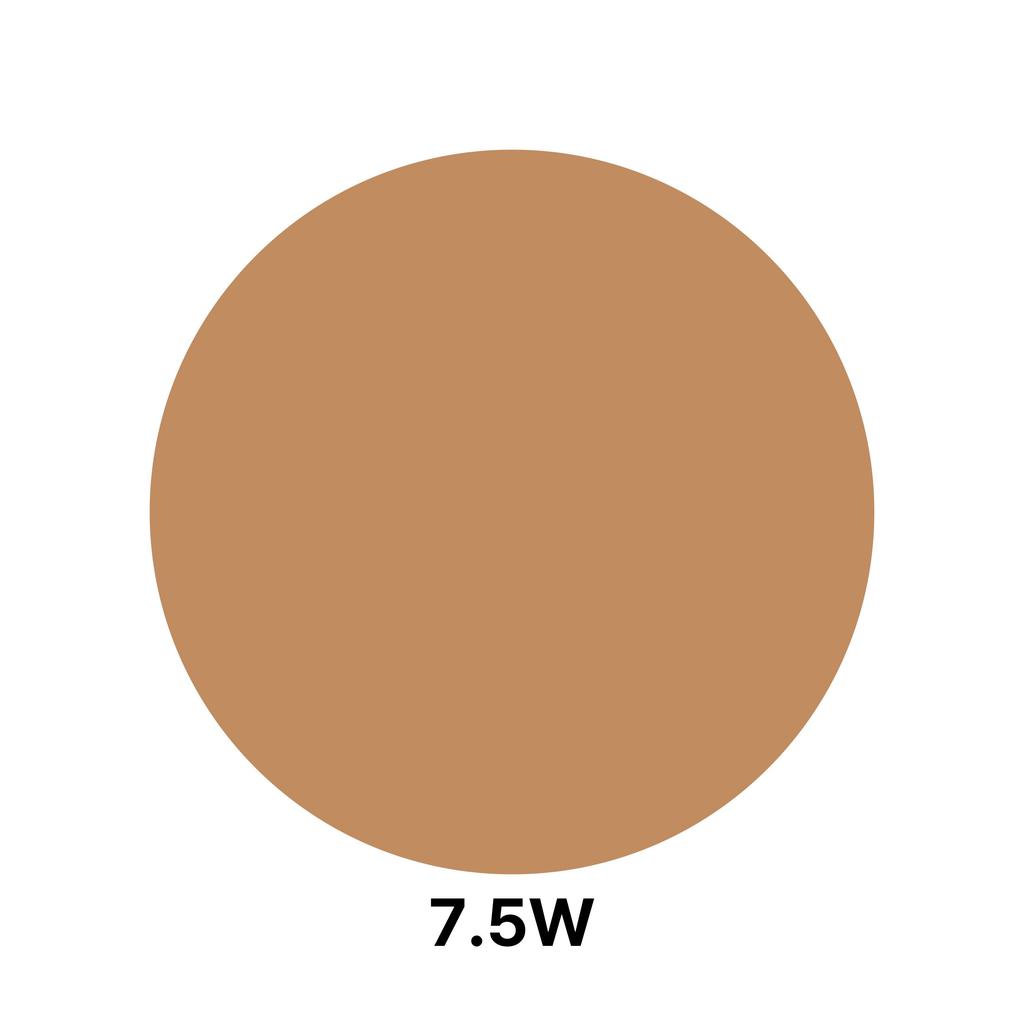 TIRTIR Glide & Hide Blurring Dual Concealer (20 Colors)