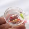 Mini Fish Tank DIY Resin Transparent Goldfish Tanks Handmade Miniature Decor