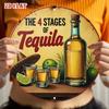 Vintage Tequila Bottle Metal Tin Sign Wall Art Rustic Home Decor Plaque