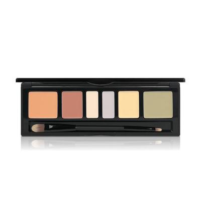 Artist Concealer Palette #BLEND 6.6g