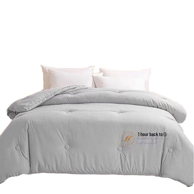 

Anqier Antibacterial Soy Fiber Quilt