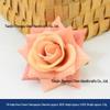 Champagne Silk Imitation Flowers for Hairpins, Hanfu Headdresses, Souvenirs, and Performance Accessories.