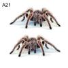 3D Car Sticker Simulation Animal Bumper Door Decor Scorpion Spider Lizard Decal