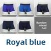 Men's Ice Silk Breathable Mid-Waist Boxer Briefs - Youth Sports Edition