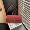Spring Trend Texture French Design Casual Personality Spring and Summer New Women's Armpit Shoulder Bag Women