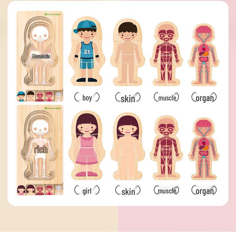 GoryeoBaby Wooden Human Body Puzzle - Children's Educational Toy