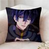 7Th T-Time Loop Anime Pillow Case Pillowcase, Double-Sided Printed, Sofa Cushion, Bedroom Headboard Pillow